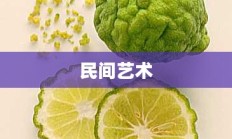 柠檬国的神秘之旅揭秘