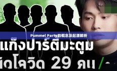 Pummel Party概念与起源深度解析
