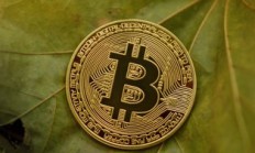 ImToken钱包余额图表，数字资产直观可视化呈现与管理工具