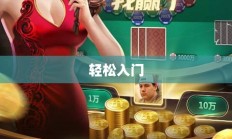 适合新手尝试的棋牌手游，轻松入门，乐趣无限
