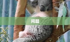 威利的困倦之谜，深度探秘解密之旅
