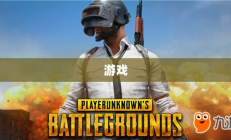 绝地求生亚服，生存竞技游戏的巅峰体验
