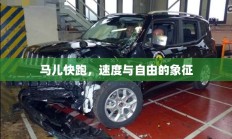 马儿快跑，速度与自由的象征