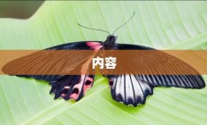 凤蝶直播App安装使用详解