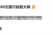 周杰伦演唱会票价争议，观众反映高价票视线受限，480元只能看大屏