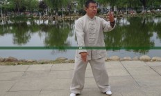 太极助手，探索阴阳平衡的艺术之道