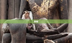 岗哨建造的重要作用与功能深度解析