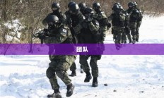 CSGO游戏提升秘籍，掌握CF战术攻略助你成为顶尖玩家