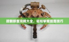 掀翻螃蟹攻略，轻松掌握捉蟹技巧秘籍