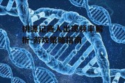 桃源记商人出现频率解析-游戏策略指南