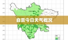 自贡今日天气概况