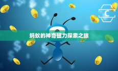 蚂蚁的神奇磁力之旅探索揭秘