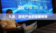 九游，游戏产业的璀璨明珠