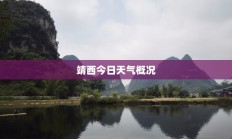 靖西今日天气概况