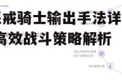 惩戒骑士输出手法详解-高效战斗策略解析