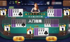 新手必玩的棋牌手游，入门指南与推荐游戏榜单