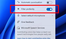 微软Windows 11预览版更新，智能安全增强，新增脏话过滤开关