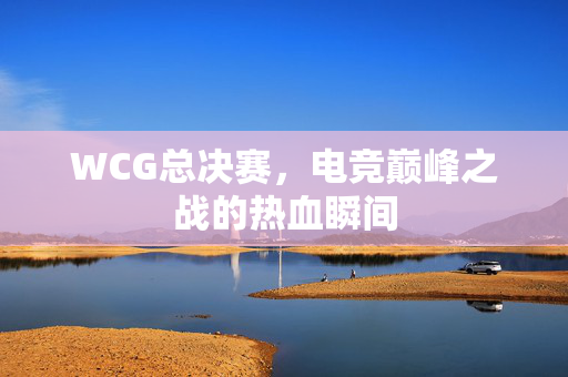 WCG总决赛，电竞巅峰之战的热血瞬间