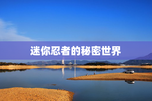 迷你忍者的秘密世界