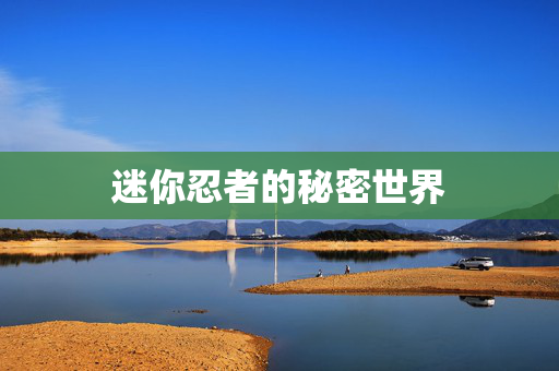 迷你忍者的秘密世界