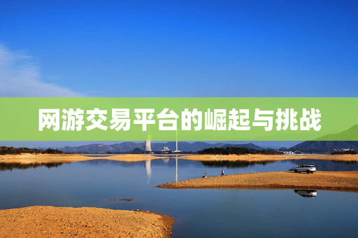 网游交易平台的崛起与挑战