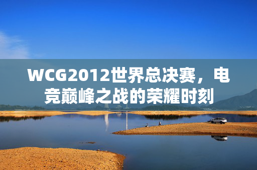 WCG2012世界总决赛，电竞巅峰之战的荣耀时刻