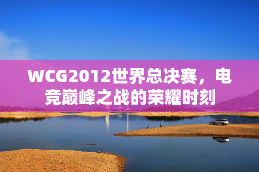 WCG2012世界总决赛,电竞巅峰之战的荣耀时刻 WCG2012世界总决赛,电竞巅峰之战的荣耀时刻