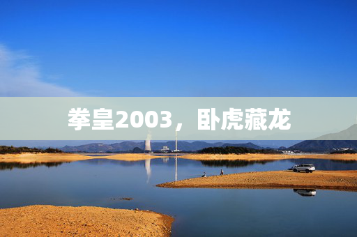 拳皇2003,卧虎藏龙 拳皇2003,卧虎藏龙