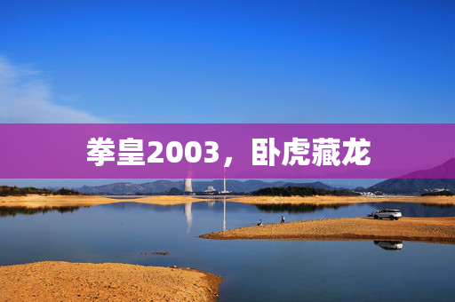 拳皇2003，卧虎藏龙