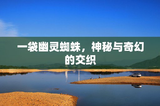 一袋幽灵蜘蛛，神秘与奇幻的交织