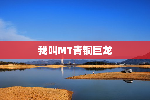 我叫MT青铜巨龙