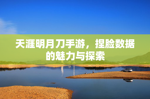 天涯明月刀手游，捏脸数据的魅力与探索