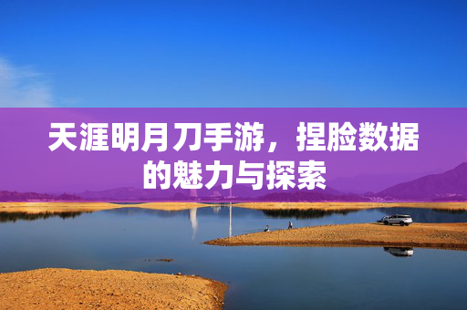 天涯明月刀手游,捏脸数据的魅力与探索 天涯明月刀手游,捏脸数据的魅力与探索