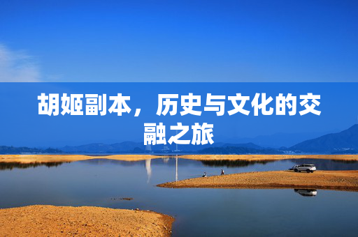 胡姬副本，历史与文化的交融之旅