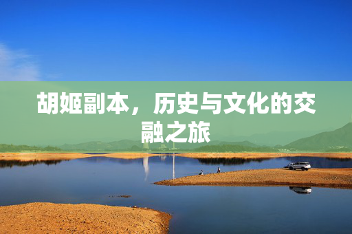 胡姬副本,历史与文化的交融之旅 胡姬副本,历史与文化的交融之旅