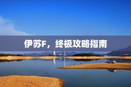 伊苏F，终极攻略指南