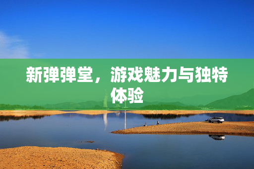 新弹弹堂，游戏魅力与独特体验