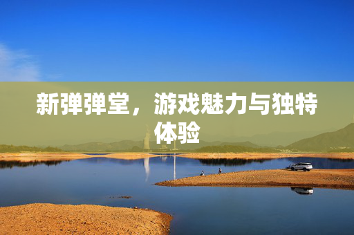 新弹弹堂,游戏魅力与独特体验 新弹弹堂,游戏魅力与独特体验
