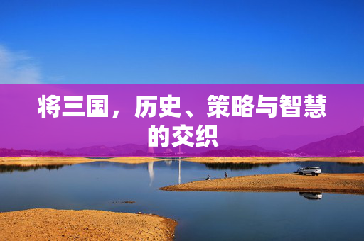 将三国,历史、策略与智慧的交织 将三国,历史、策略与智慧的交织