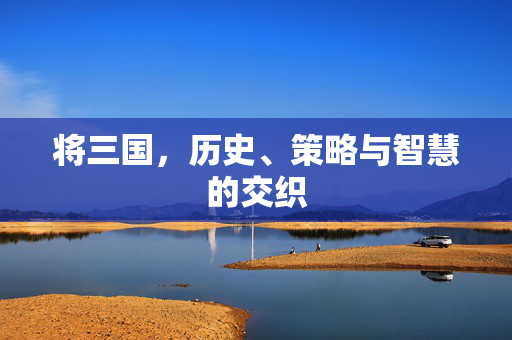 将三国，历史、策略与智慧的交织
