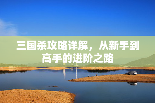 三国杀攻略详解，从新手到高手的进阶之路