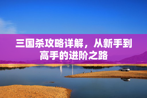 三国杀攻略详解,从新手到高手的进阶之路 三国杀攻略详解,从新手到高手的进阶之路