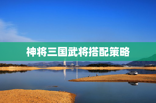 神将三国武将搭配策略
