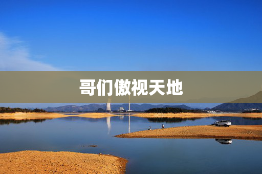 哥们傲视天地