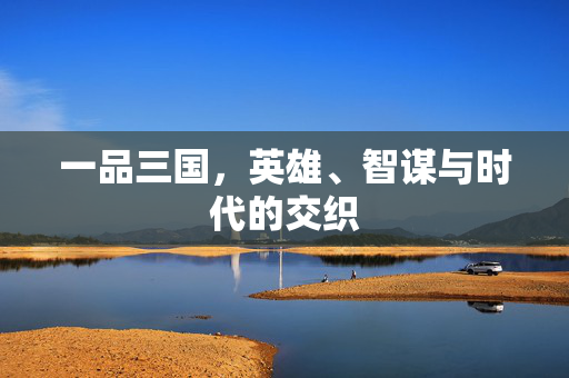 一品三国,英雄、智谋与时代的交织 一品三国,英雄、智谋与时代的交织