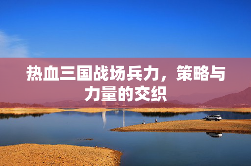 热血三国战场兵力,策略与力量的交织 热血三国战场兵力,策略与力量的交织