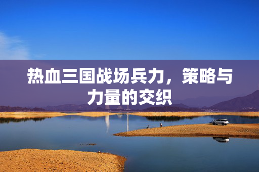 热血三国战场兵力，策略与力量的交织