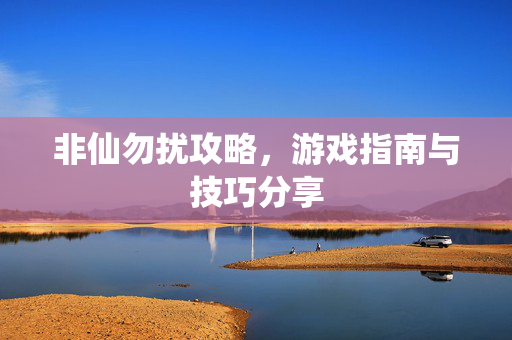 非仙勿扰攻略，游戏指南与技巧分享