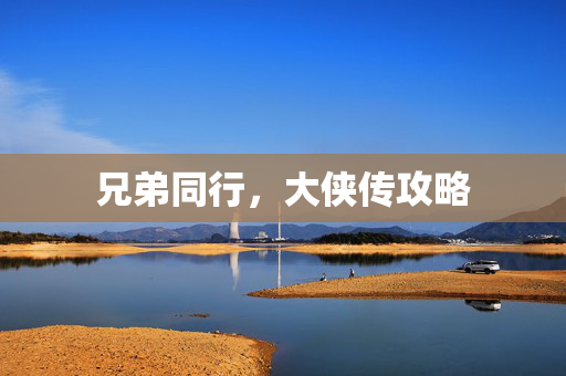 兄弟同行，大侠传攻略