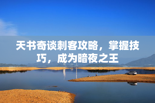 天书奇谈刺客攻略，掌握技巧，成为暗夜之王